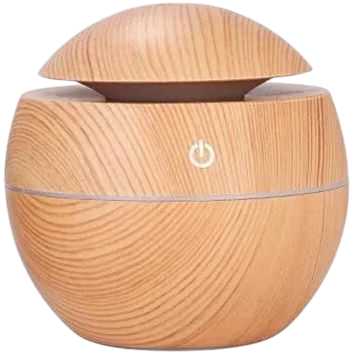 بخور سرد برای گیاهان آپارتمانی | راز شادابی، رشد بهتر و برگهای سبزتر